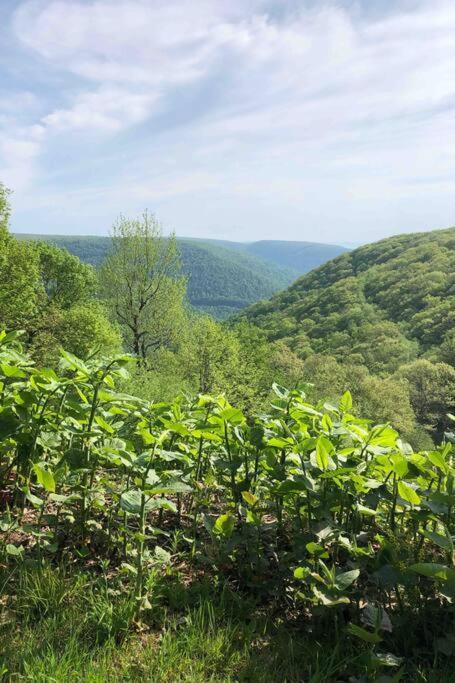 2 Bedroom 2 Bathroom - Blue Knob All Season Resort Condo Claysburg Εξωτερικό φωτογραφία